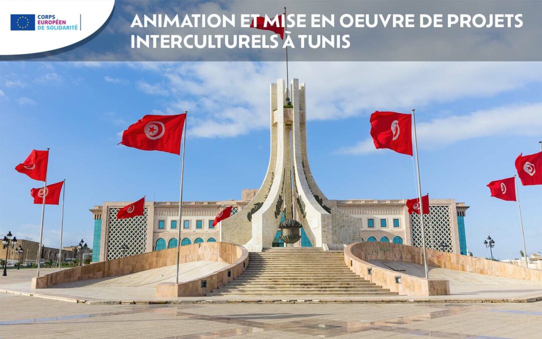ANIMATION ET MISE EN OEUVRE DE PROJETS INTERCULTURELS À TUNIS