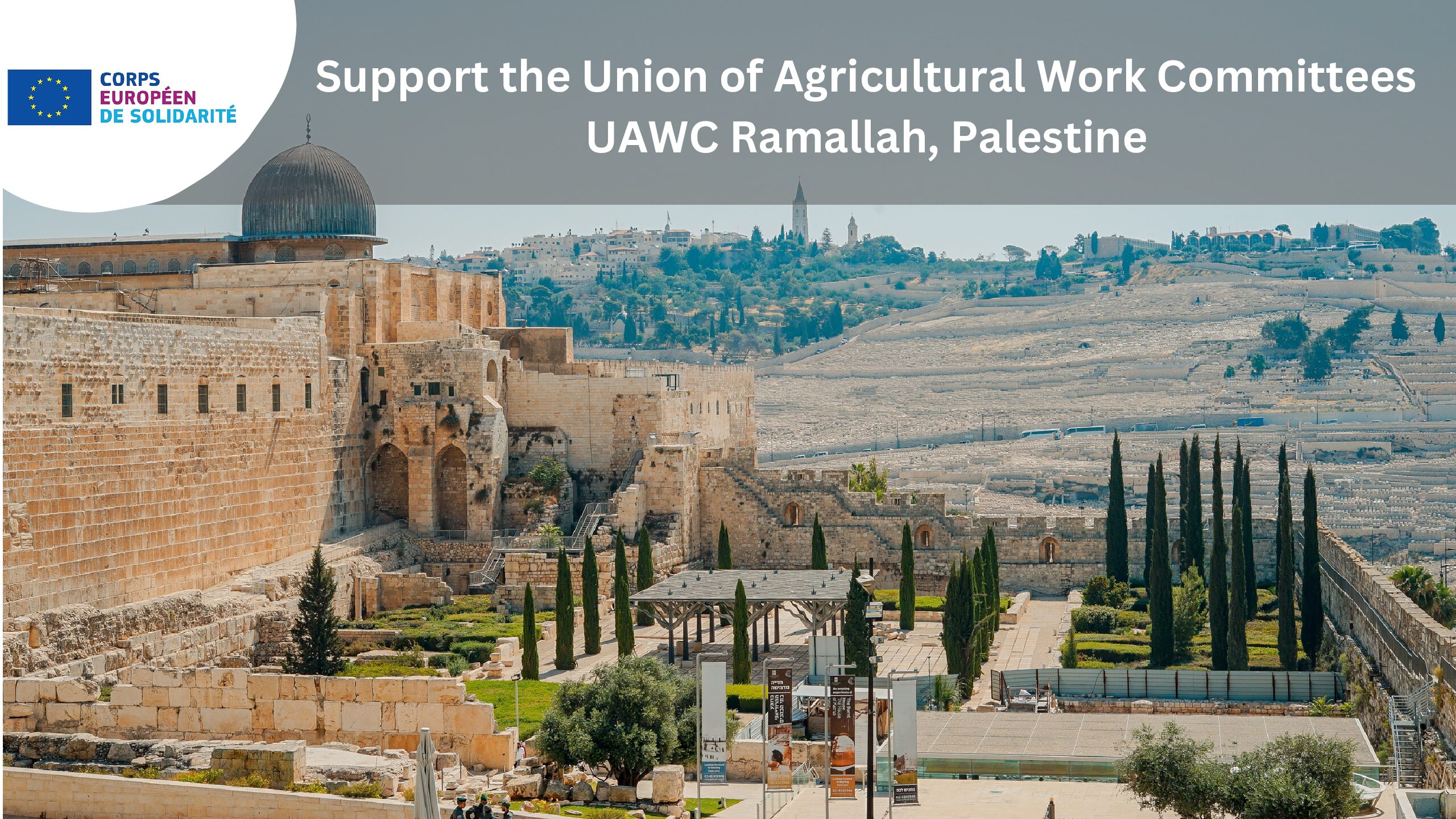 Support the Union of Agricultural Work Committees UAWC Ramallah, Palestine